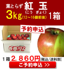 【予約】【品種】青森りんご(紅玉)小玉３Kg