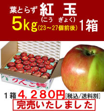 【販売終了】青森りんご(紅玉)小玉５Kg