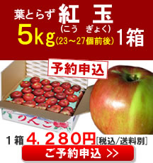 【予約】【品種】青森りんご(紅玉)小玉５Kg