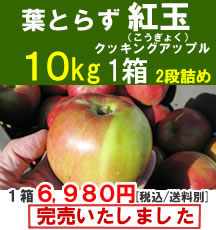 【販売終了】青森りんご(紅玉)小玉１０Kg