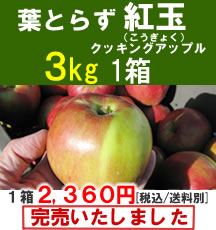 【販売終了】青森りんご(紅玉)小玉３Kg