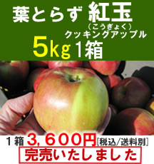 【販売終了】青森りんご(紅玉)小玉５Kg