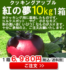 【販売】青森産りんご(紅の夢)１０Kg