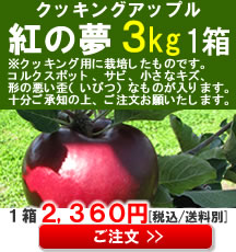 【販売】青森産りんご(紅の夢)３Kg