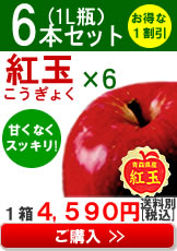 みかみ家のりんごジュース「紅玉×6」