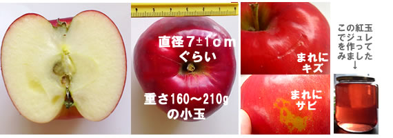 紅玉の説明