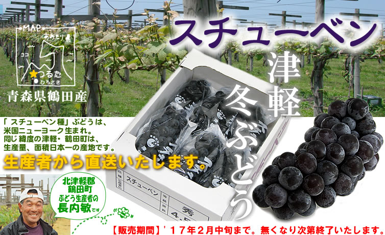 スチューベンぶどう通販~青森県鶴田町産「”冬ぶどう”スチューベンぶどう」