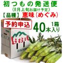 【予約A】嶽きみ「初もの発送便」(品種・恵味)[40本入]