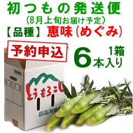 【予約A】嶽きみ「初もの発送便」(品種・恵味)[6本入]