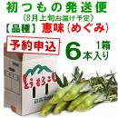 【予約A】嶽きみ「初もの発送便」(品種・恵味)[6本入]