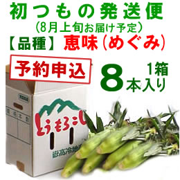 【予約A】嶽きみ「初もの発送便」(品種・恵味)[8本入]