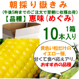 嶽きみ「恵味」[10本入]