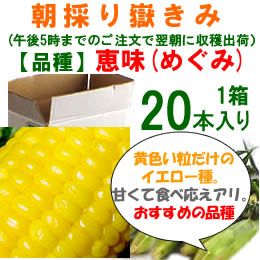 嶽きみ「恵味」[20本入]