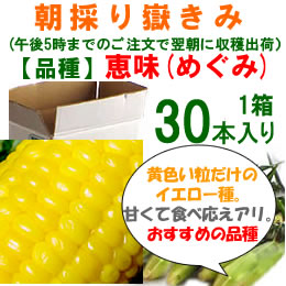 嶽きみ「恵味」[30本入]