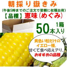 嶽きみ「恵味」[50本入]