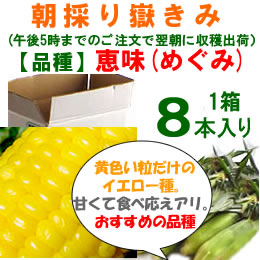 嶽きみ「恵味」[8本入]