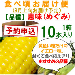 【予約B】嶽きみ「食べごろお届け便」恵味[10本入]