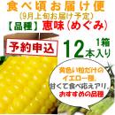 【予約B】嶽きみ「食べごろお届け便」恵味[12本入]