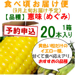 【予約B】嶽きみ「食べごろお届け便」恵味[20本入]