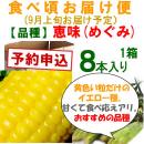 【予約B】嶽きみ「食べごろお届け便」恵味[8本入]