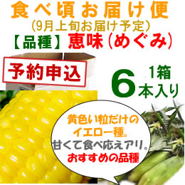 【予約B】嶽きみ「食べごろお届け便」恵味[6本入]