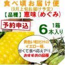 【予約B】嶽きみ「食べごろお届け便」恵味[6本入]