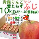 葉とらずりんご(サンふじ)[1箱(10kg)]