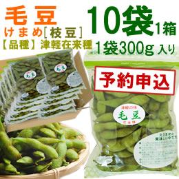 【予約B】毛豆(津軽在来・枝豆)1袋300g入り[1箱10袋入り]