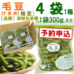 【予約B】毛豆(津軽在来・枝豆)1袋300g入り[1箱4袋入り]