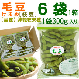 毛豆(津軽在来・枝豆)1袋300g入り[1箱6袋入り]