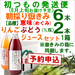 【予約A】嶽きみセット「品種・恵味[6本]・りんごとぶどうジュース[各1本]」