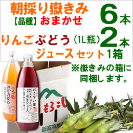 嶽きみセット「品種(恵味)6本・りんごとぶどうジュース各1本」