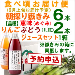 【予約B】嶽きみセット「品種(恵味)6本・りんごとぶどうジュース各1本」