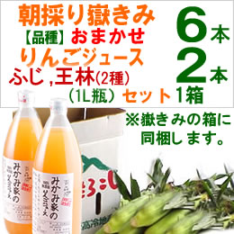 嶽きみセット「品種(恵味)[6本]・りんごジュース(ふじ・王林[各1本])」