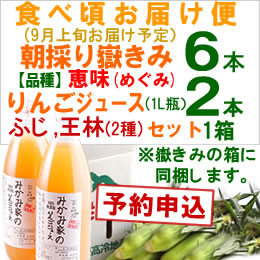 【予約B】嶽きみセット「品種(恵味)[6本]・りんごジュース(ふじ・王林[各1本])」