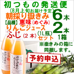 【予約A】嶽きみセット「品種・恵味[6本]・りんごジュース(ふじ[2本])」