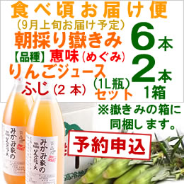 【予約B】嶽きみセット「品種(恵味)[6本]・りんごジュース(ふじ[2本]) 」