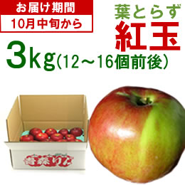 青森りんご(紅玉)小玉[1箱(3kg)]